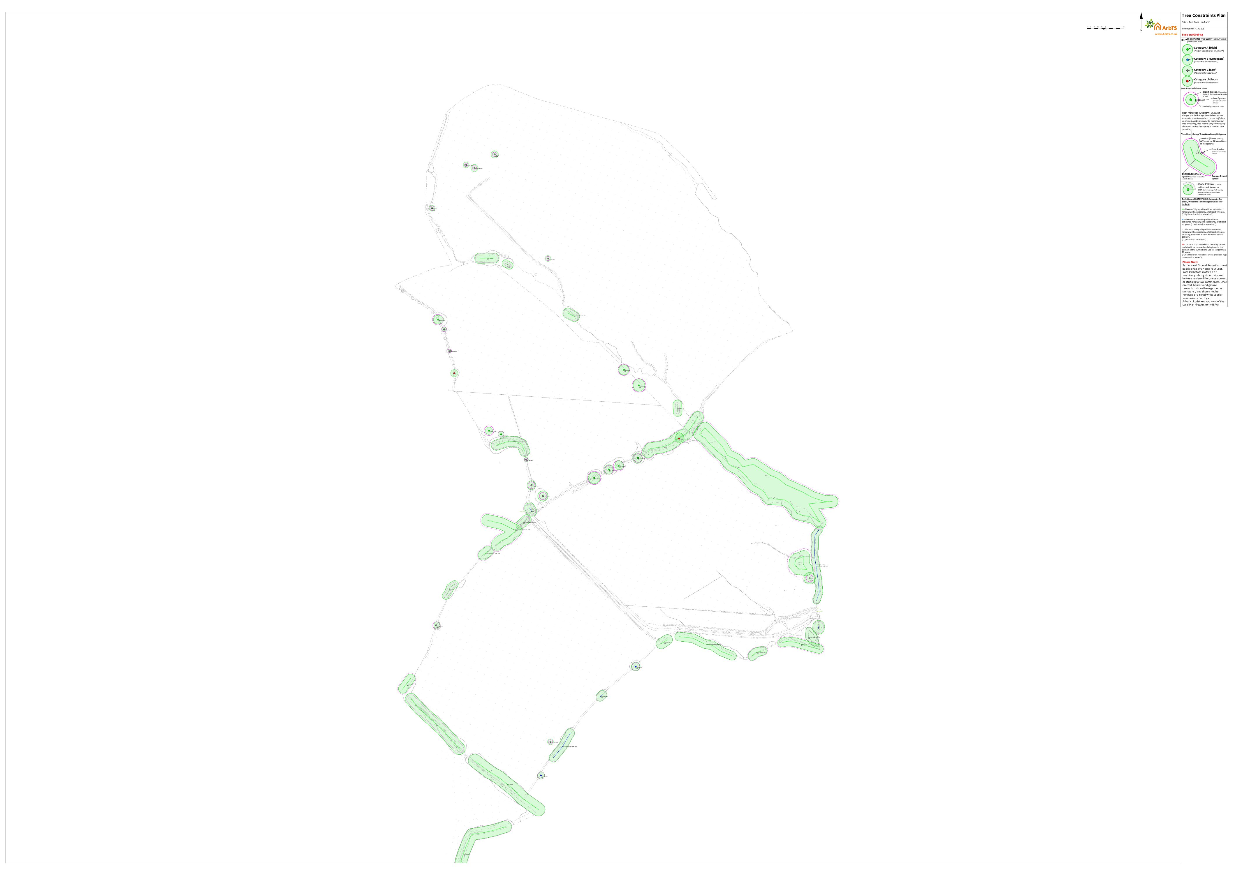 Tree Constraints Plan (North)