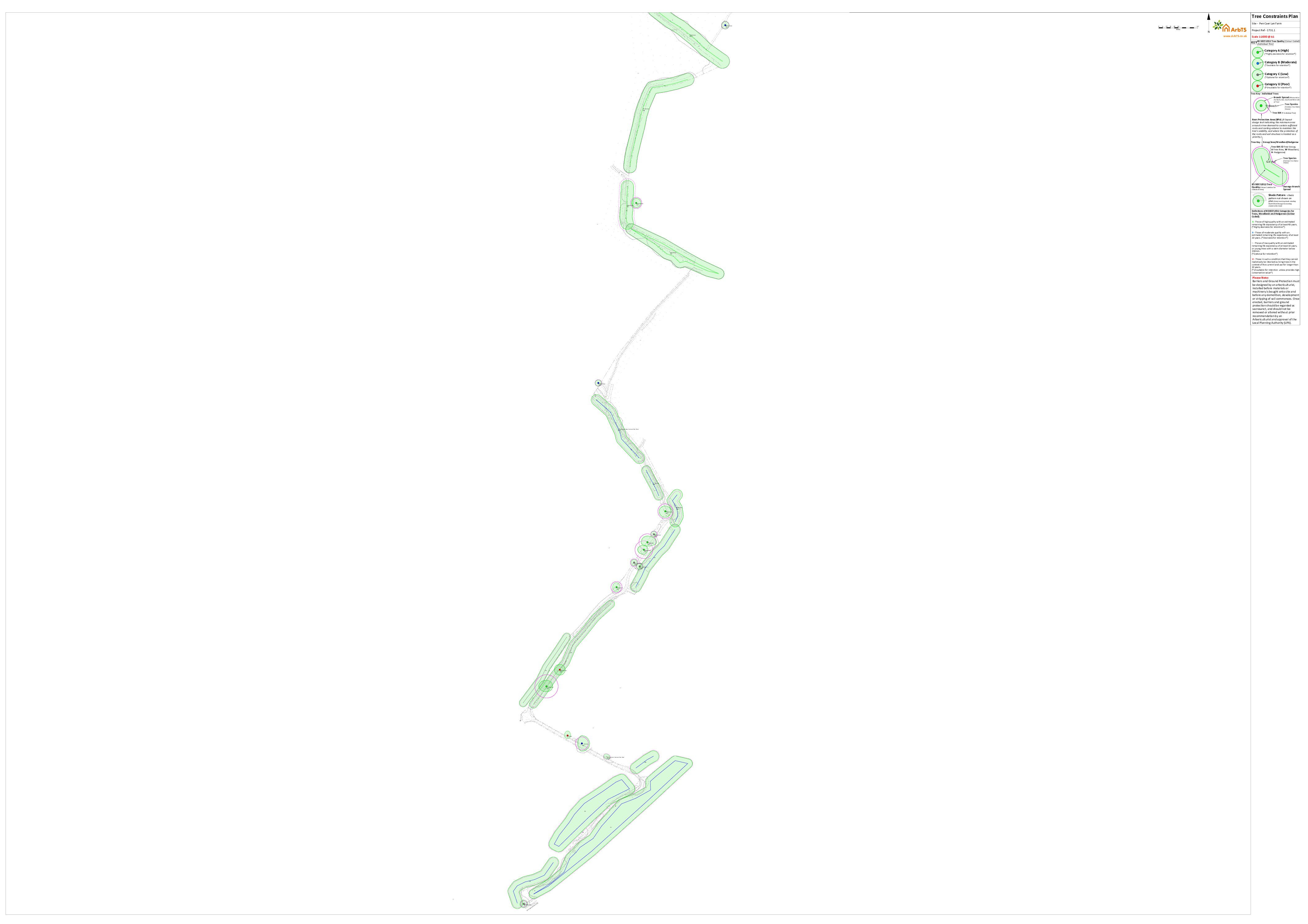 Tree Constraints Plan (South)